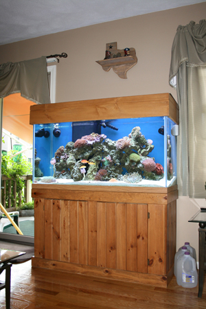 Texas Reef Aquarium